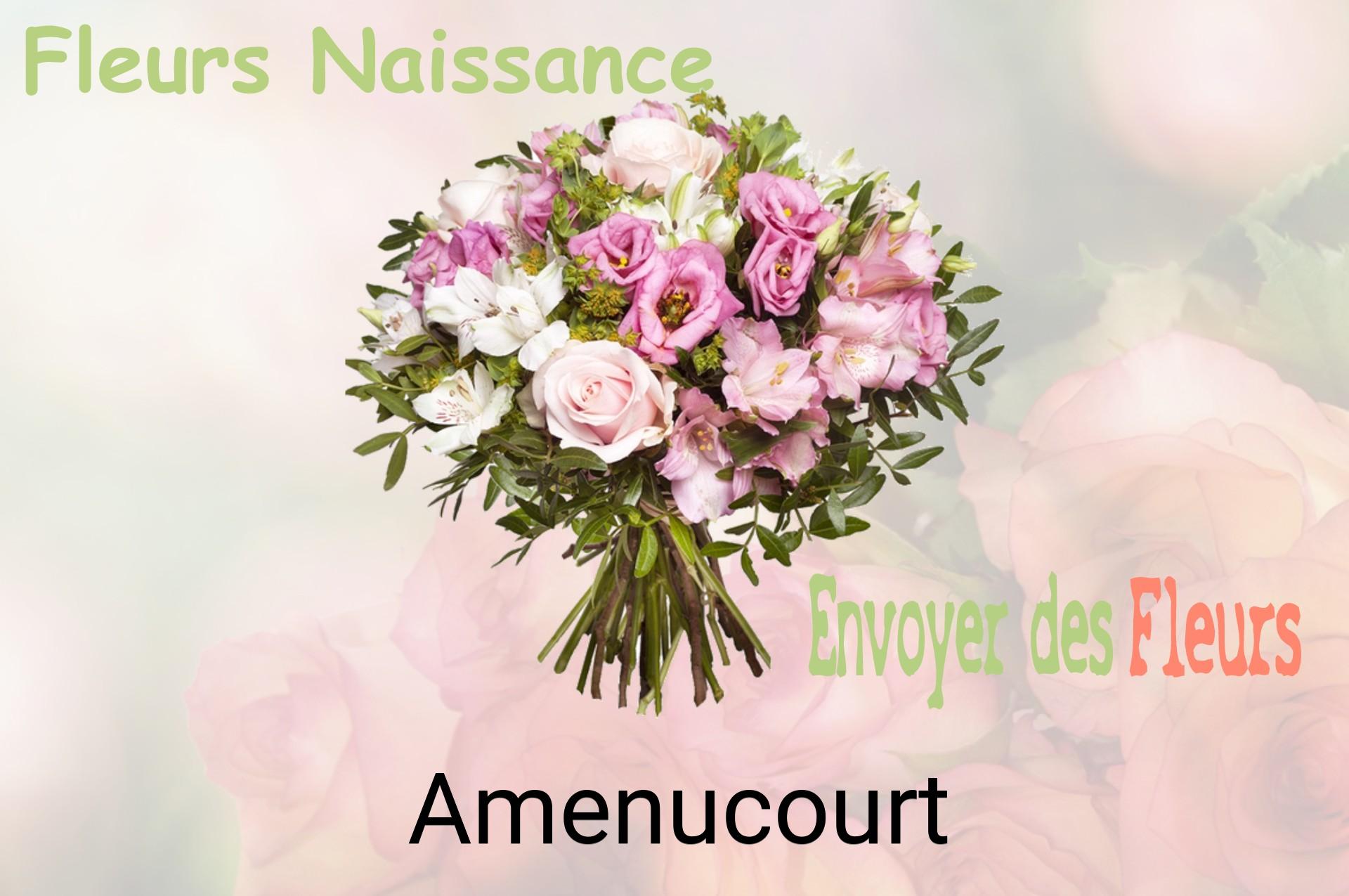 Bouquet de fleurs de naissance livré à Amenucourt